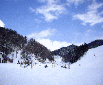 飛騨のスキ−場は雪質が最高です　飛騨に生まれた事に感謝をしています。ありがとう飛騨高山