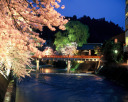 中橋のライトアップ　　飛騨高山中橋春の綺麗な桜