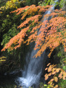 宇津江四十八滝の滝の写真 宇津江四十八滝の滝と花の紹介